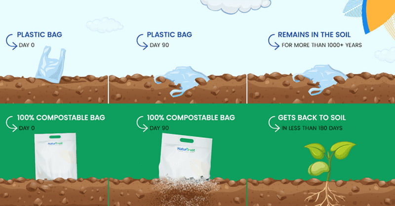 Plastic vs Compostable Bags